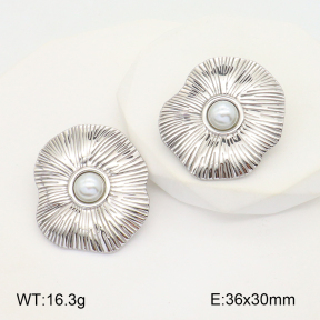 2E3002865vbll-436  Stainless Steel Earrings