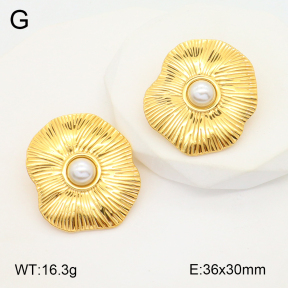 2E3002866bbml-436  Stainless Steel Earrings