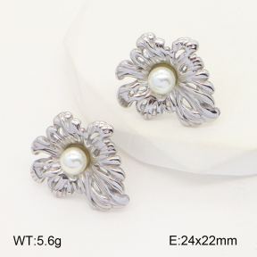 2E3002867aakl-436  Stainless Steel Earrings