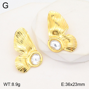 2E4003920aajo-446  Stainless Steel Earrings