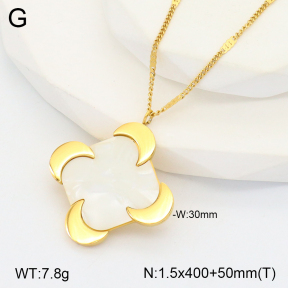 2N3002082bbov-669  Stainless Steel Necklace