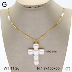 2N3002083bhva-669  Stainless Steel Necklace