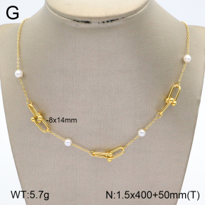 2N3002084abol-669  Stainless Steel Necklace