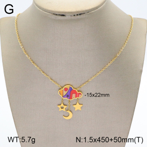 2N3002086bvpl-669  Stainless Steel Necklace