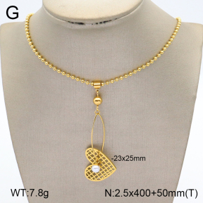 2N3002090bvpl-669  Stainless Steel Necklace