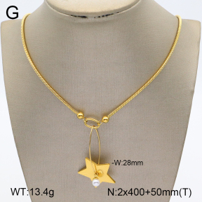 2N3002091bhva-669  Stainless Steel Necklace