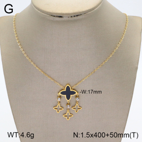 2N4003387vbpb-669  Stainless Steel Necklace