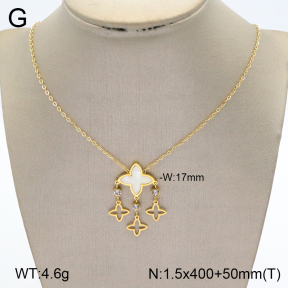 2N4003388vbpb-669  Stainless Steel Necklace