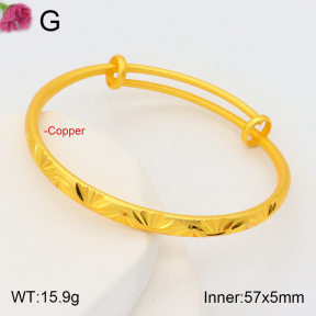 F2BA20094abol-J178  Fashion Copper Bangle