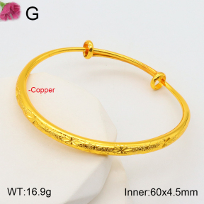 F2BA20098abol-J178  Fashion Copper Bangle