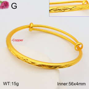 F2BA20100abol-J178  Fashion Copper Bangle