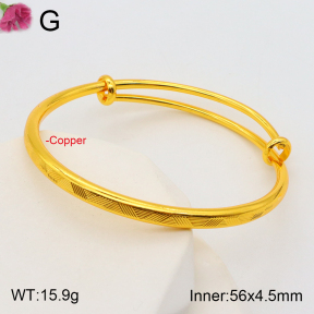 F2BA20101abol-J178  Fashion Copper Bangle