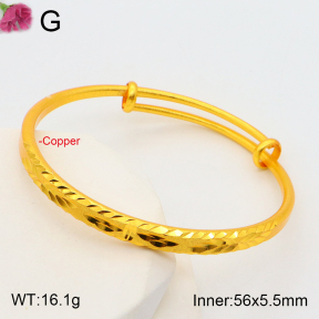 F2BA20105abol-J178  Fashion Copper Bangle