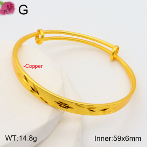 F2BA20110abol-J178  Fashion Copper Bangle