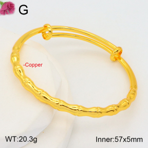 F2BA20119abol-J178  Fashion Copper Bangle