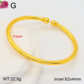 F2BA20120abol-J178  Fashion Copper Bangle