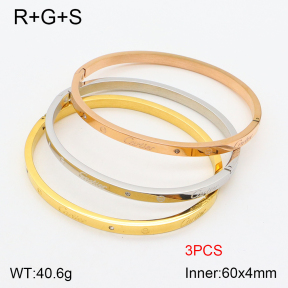 PZ1757605aija-603  Cartier  Bangles