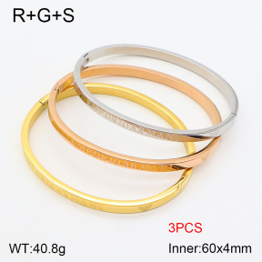 PZ1757606aija-603  Armani  Bangles