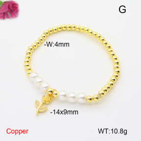 F6B300885ablb-L017  Fashion Copper Bracelet