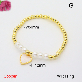 F6B300887vbmb-L017  Fashion Copper Bracelet