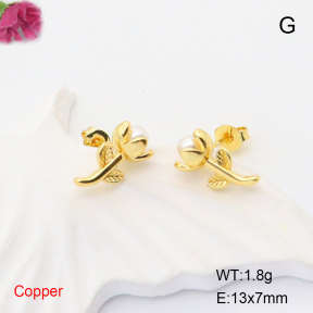 F6E301868baka-L017  Fashion Copper Earrings