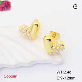 F6E301870baka-L017  Fashion Copper Earrings