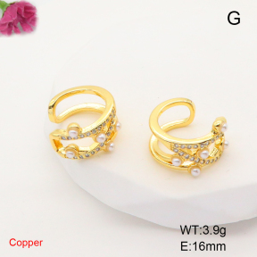 F6E405306ablb-L017  Fashion Copper Earrings