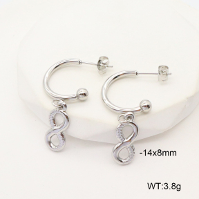 6E2006807baka-900  Stainless Steel Earrings