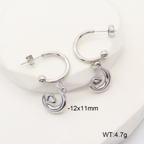 6E2006808baka-900  Stainless Steel Earrings