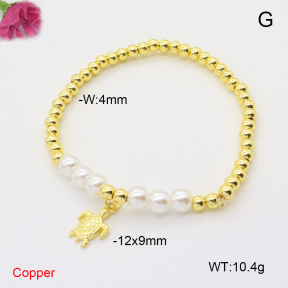 F6B301035aakl-L002  Fashion Copper Bracelet