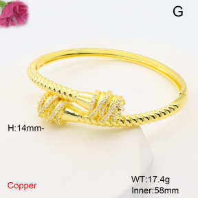 F6BA41669bhia-L002  Fashion Copper Bangle