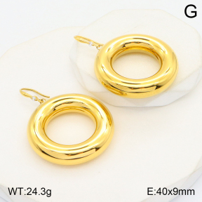 2E2005017ahjb-649  Stainless Steel Earrings