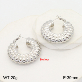 2E2005019bhva-649  Stainless Steel Earrings