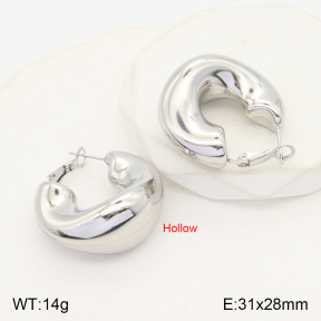 2E2005020bhva-649  Stainless Steel Earrings