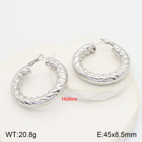 2E2005026bhva-649  Stainless Steel Earrings