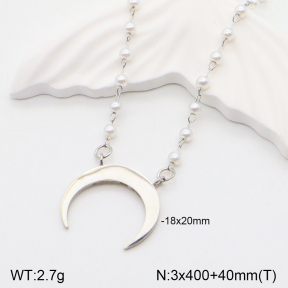 2N3002093bbml-350  Stainless Steel Necklace