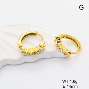 6E4004398bbom-209D  Stainless Steel Earrings