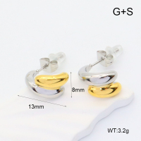 GEE002305vhha-066  Handmade Polished  Stainless Steel Earrings