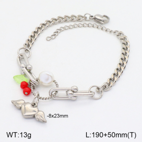 2B3003341ahjb-656  Stainless Steel Bracelet