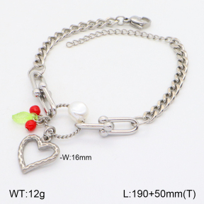 2B3003343ahjb-656  Stainless Steel Bracelet