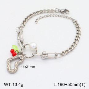 2B3003345ahjb-656  Stainless Steel Bracelet