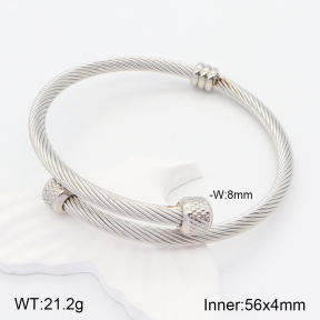 2BA201558aakl-387  Stainless Steel Bangle