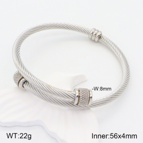 2BA201559aakl-387  Stainless Steel Bangle