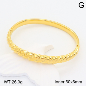 2BA201580bhia-434  Stainless Steel Bangle