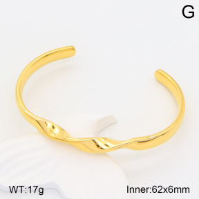 2BA201587vbnl-434  Stainless Steel Bangle