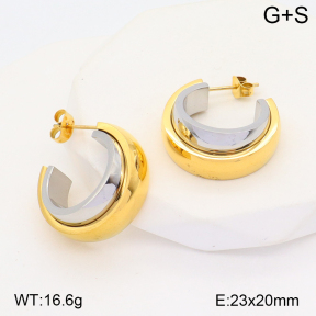 2E2005119vbpb-434  Stainless Steel Earrings