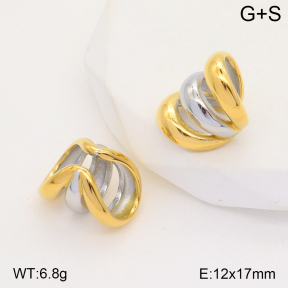 2E2005120bbov-434  Stainless Steel Earrings