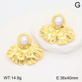 2E3002874bbml-434  Stainless Steel Earrings