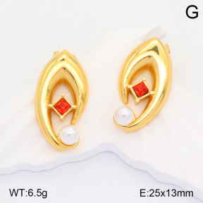 2E3002878vbnl-434  Stainless Steel Earrings