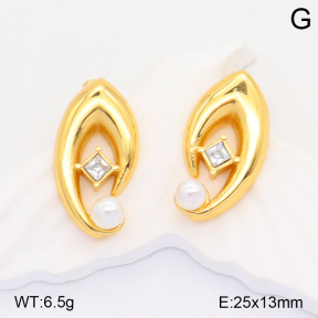 2E3002880vbnl-434  Stainless Steel Earrings